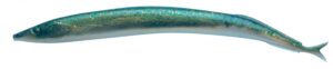 Berkley Gulp Alive Sand Eel/Tobis 1/2 Bucket 12,5cm Sapphire Shiner