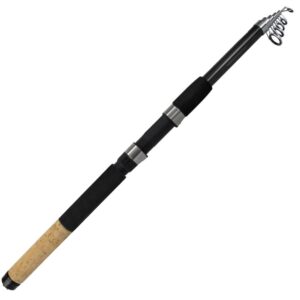 Roy Fishers Allround Teleskop Fiskestang 10' 40-80gr - Fiskestang