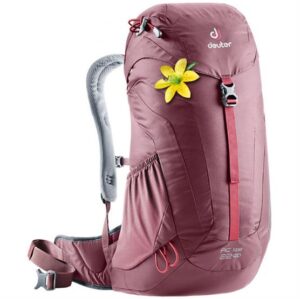 Deuter AC Lite 22 SL