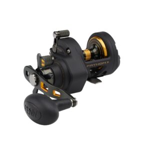 Penn Fathom II 25N Star Drag Multihjul