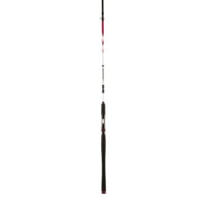 Penn Squadron II SW Spin 9 Fod 20-80g 4-delt