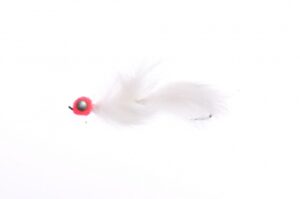 Egghead Whitetale