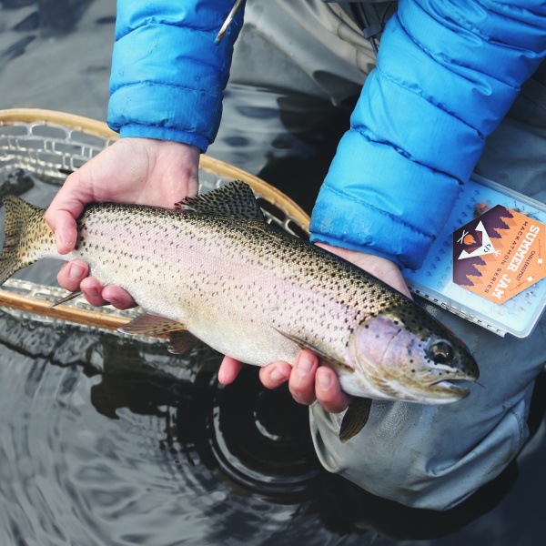 Fiskegrej til lystfiskeri i Danmark