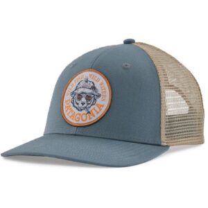 Patagonia Take a Stand Trucker Hat Wild Grizz:Plume Grey