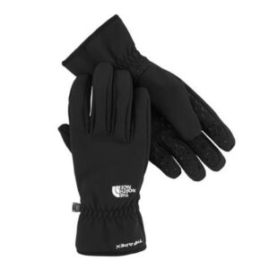 The North Face Mens Insulated Apex Glove, Black