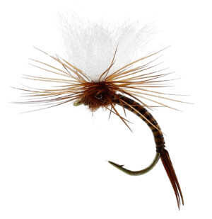 Unique Flies Aurivilli Emerger Quill Brown, TMC212TR #13