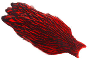 Whiting American Hen Cape Black Laced Black/Red