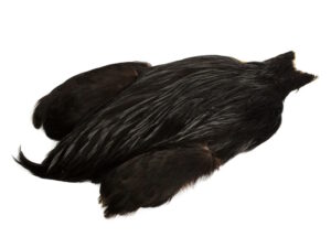 Whiting 4 B's Rooster Cape-Black