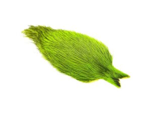 Whiting Coq De Leon-Badger Dyed Fl. Green Chartreuse