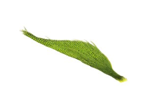 Whiting High & Dry 1/2 Cape-Grizzly Dyed Fl. Green Chartreuse