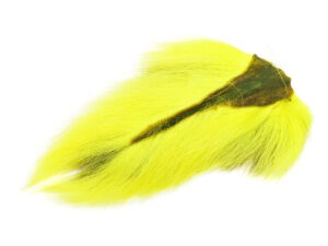 Veniard Doe Tail-Fl. Yellow