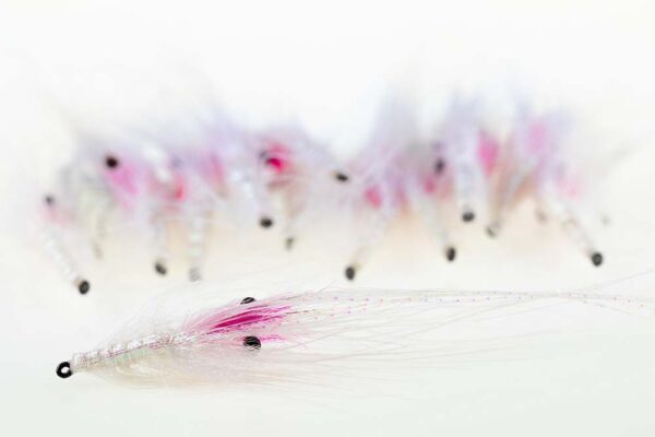 10 STK Pattegrisen (ægte whiting spey) - Hot Pink/White 6