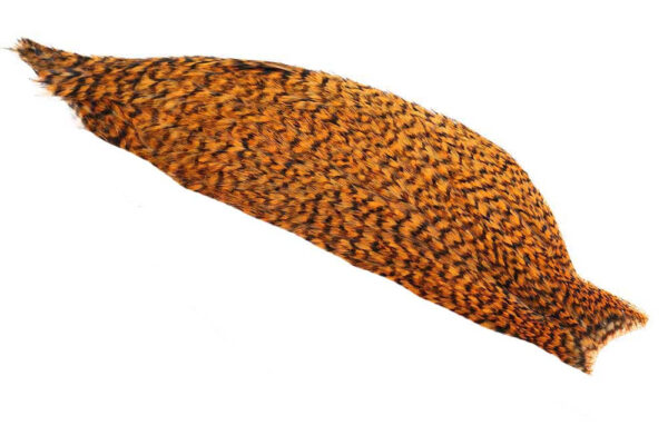 1/2 Whiting American Rooster Cape - Grizzly Shrimp Orange