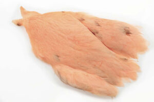 4B Whiting Hen Cape - Salmon Pink