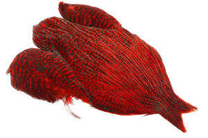 4B Whiting Rooster Cape - Grizzly Red