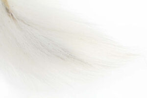 Bucktail Medium - Fl.White