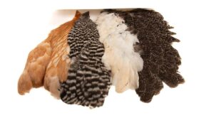 Introductory Soft Hackle Pack - 2 Half Capes/2 Half Saddles