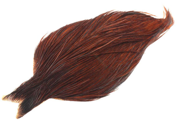 (Pro Grade) Whiting Red Label - Coachman Brown