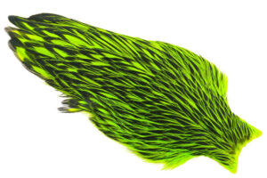 Whiting American Hen Cape Black Laced - Chartreuse