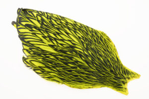 Whiting American Hen Cape Black Laced - Fl. Yellow Chartreuse