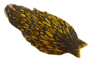 Whiting American Hen Cape Black Laced - Golden Olive