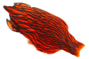 Whiting American Hen Cape Black Laced - Orange