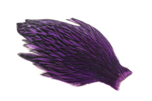 Whiting American Hen Cape Black Laced - Purple