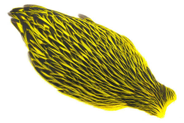 Whiting American Hen Cape Black Laced - Yellow