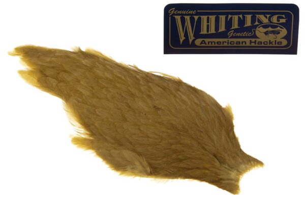 Whiting American Hen Cape - Golden Olive