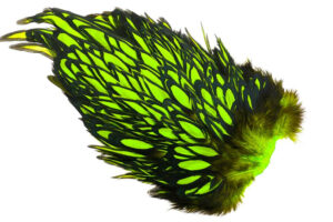 Whiting American Hen Saddle Black Laced - Fl. Green Chartreuse