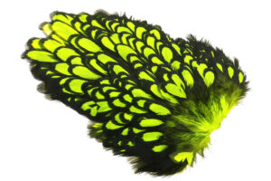 Whiting American Hen Saddle Black Laced - Fl. Yellow Chartreuse