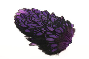 Whiting American Hen Saddle Black Laced - Purple