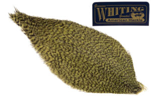 Whiting American Rooster Cape - Grizzly Olive