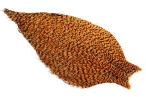 Whiting American Rooster Cape - Grizzly Shrimp Orange