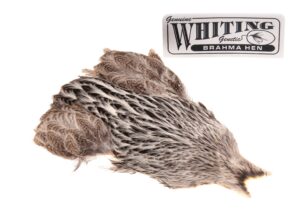 Whiting Brahma - Creme Badger