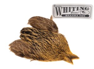 Whiting Brahma - Golden Straw