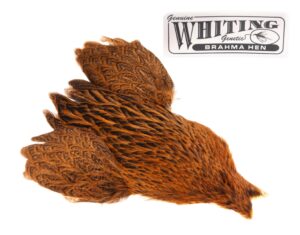 Whiting Brahma - March Brown