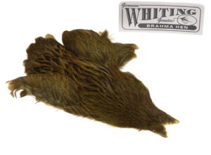 Whiting Brahma - Olive