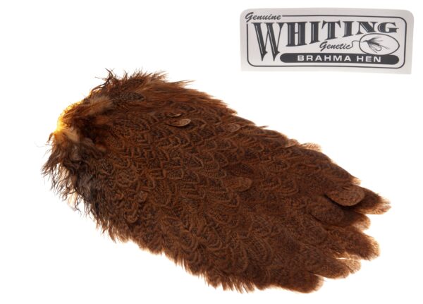 Whiting Brahma Saddle - Golden Brown