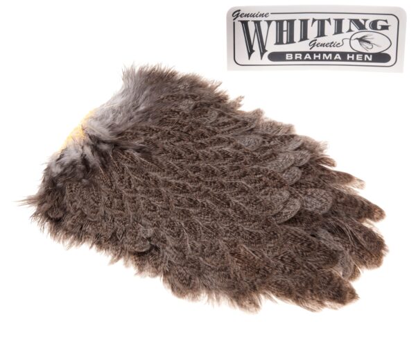 Whiting Brahma Saddle - Mottled Grey