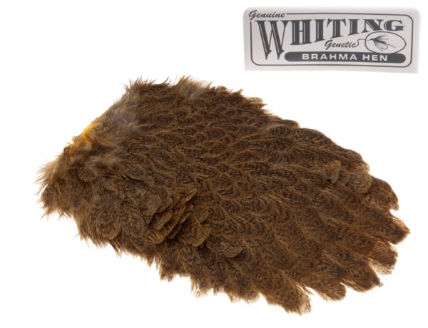 Whiting Brahma Saddle - Mottled Olive