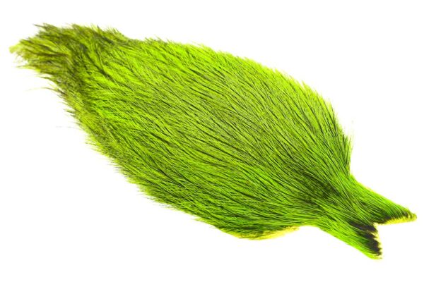 Whiting Coq de leon Cape - Badger Fl. Green Chartreuse