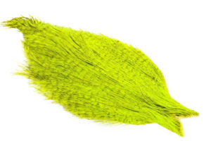 Whiting Coq de leon Cape - Badger Fluo. Yellow Chartreuse