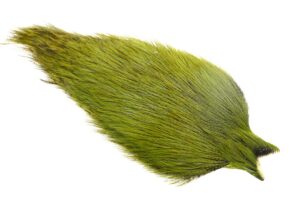 Whiting Coq de leon Cape - Badger Olive