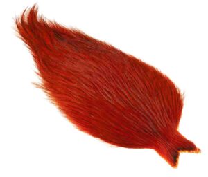 Whiting Coq de leon Cape - Badger Orange