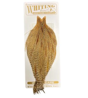 Whiting Heritage Cape