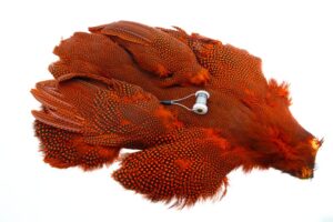 Whiting Perlehøne whole bird - Orange