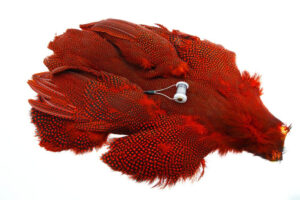 Whiting Perlehøne whole bird - Red