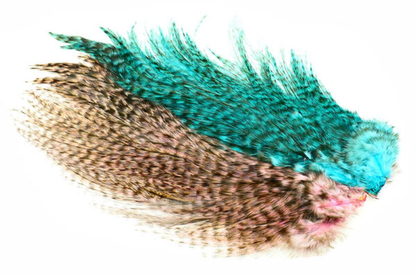 Whiting Rooster Coq de leon Predator pack - Shell Pink/Kingfisher