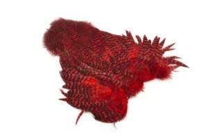 Whiting Rooster Softhackle W Chickabou SH/C Grizzly dyed Red